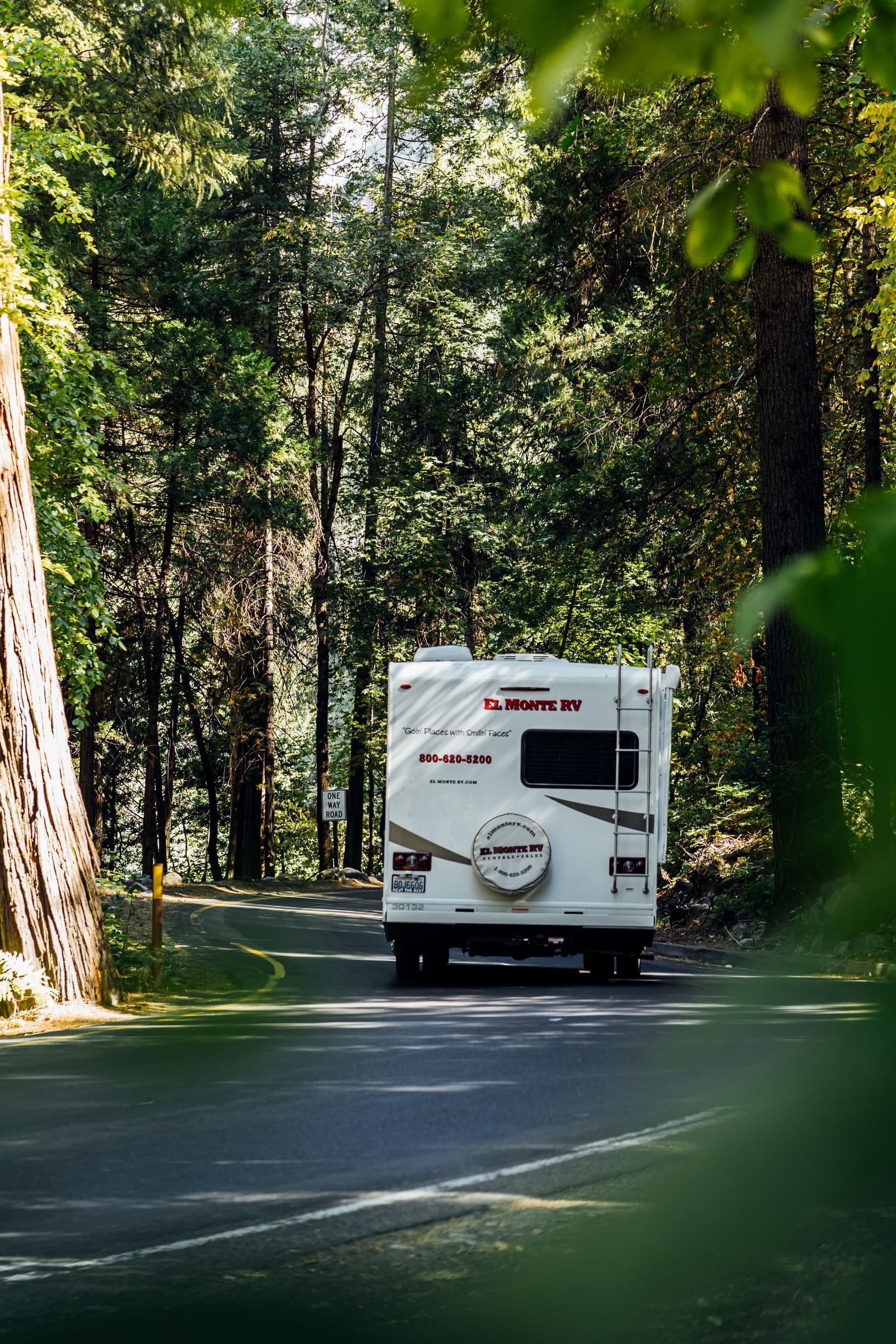 White motorhome driving a forest road toward the mountains